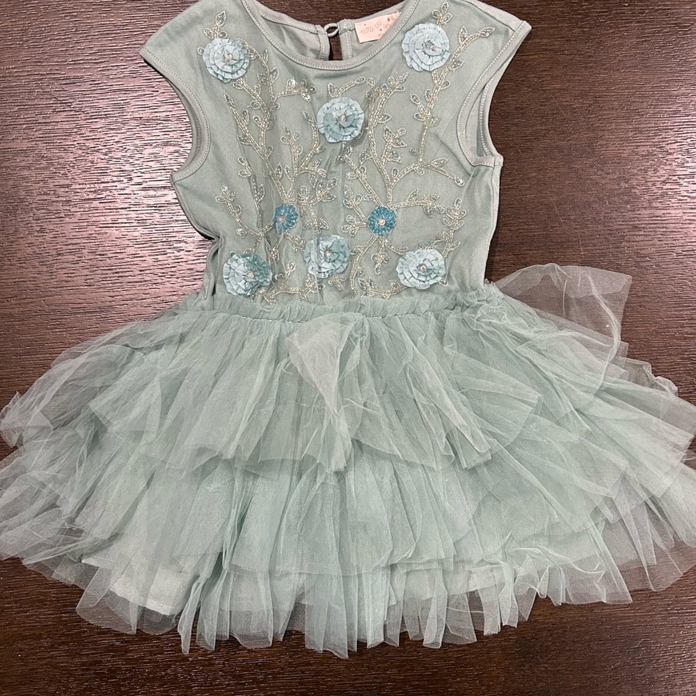 Tu tu de monde Elegant Light Blue Tulle Dress with Floral Embroidery